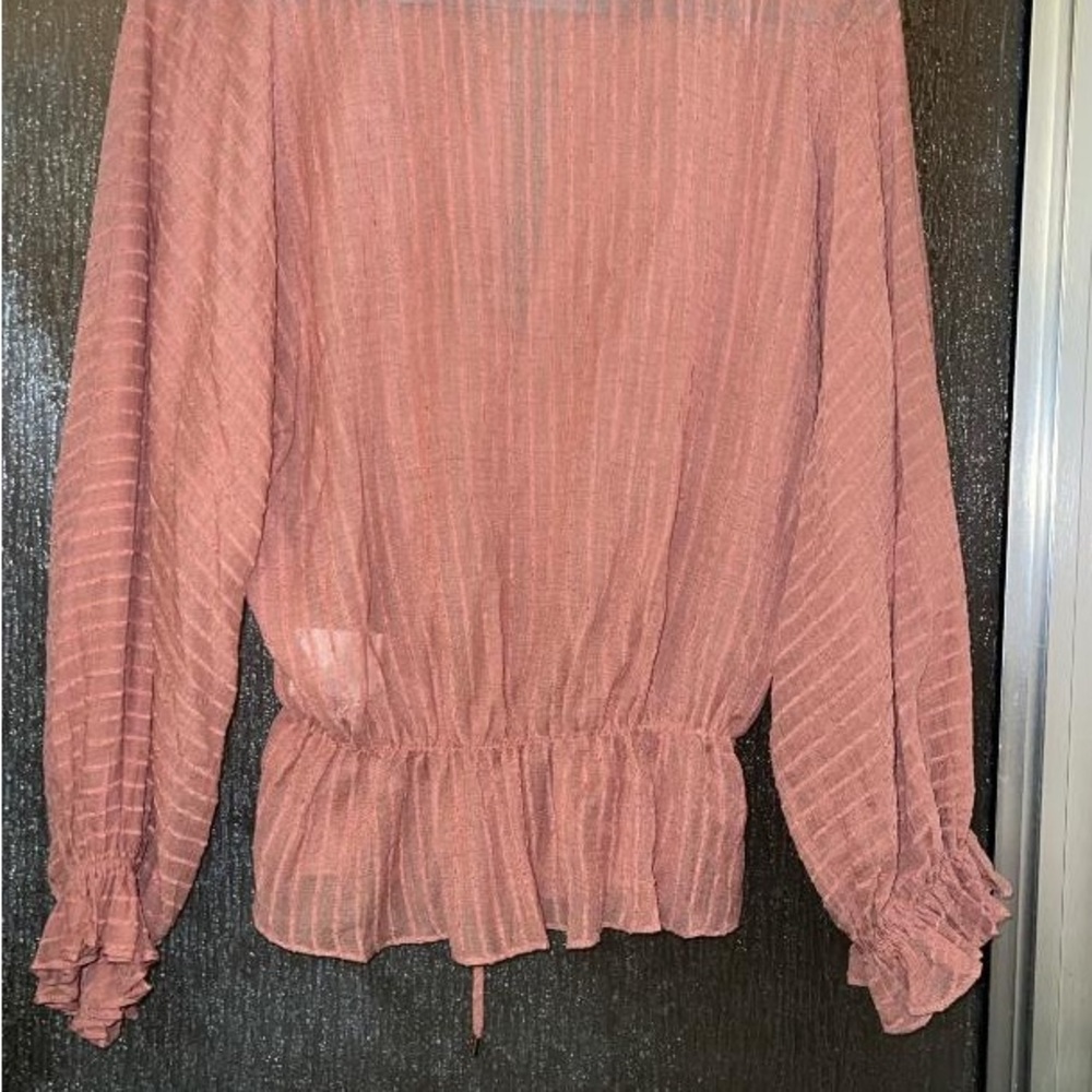 Zara Rust Button-Down Blouse - image 3